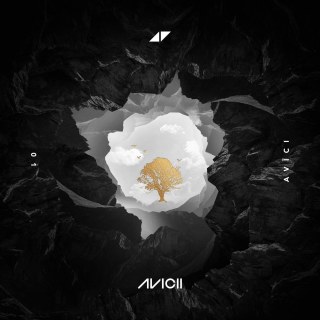 Avicii ft. Sandro Cavazza